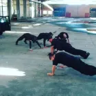 Imagem 14 da empresa ABC ESCOLA DE FORMAÇÃO DE VIGILANTES Vigilante em Canoas RS