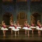 Imagem 3 da empresa BALLARE ESCOLA DE DANÇA Escolas De Ballet em Belém PA