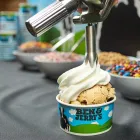 Imagem 3 da empresa BEN & JERRY’S Sorveterias em Rio De Janeiro RJ