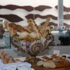 Imagem 43 da empresa BEST WESTERN PREMIER MAJESTIC PONTA NEGRA BEACH Hotéis em Natal RN