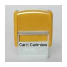 Imagem 4 da empresa CARLIT CARIMBOS E GRÁFICA Gráficas em Rio De Janeiro RJ