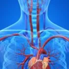 Imagem 1 da empresa CENTRO MÉDICO MATSUMOTO Clínicas Médicas em Brasília DF