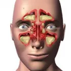 Imagem 1 da empresa CNZ ORIENTAL Medicina Alternativa em Campinas SP