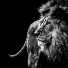 Imagem 1 da empresa CRIATTUS AGÊNCIA DE MARKETING DIGITAL - BRASÍLIA - DF melhor agencia de marketing digital em Brasília DF