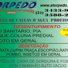 Imagem 5 da empresa DEDETIZADORA BH Limpeza Pós Obras em Belo Horizonte MG