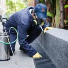 Imagem 2 da empresa DEDETIZADORA LUA NOVA Dedetização E Desratização em São Paulo SP