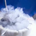 Imagem 3 da empresa FERTSEMEN GENETICS Sêmen em Patos De Minas MG