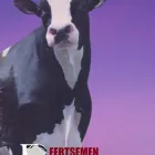 Imagem 7 da empresa FERTSEMEN GENETICS Sêmen em Patos De Minas MG