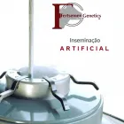Imagem 9 da empresa FERTSEMEN GENETICS Sêmen em Patos De Minas MG