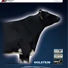 Imagem 16 da empresa FERTSEMEN GENETICS Sêmen em Patos De Minas MG