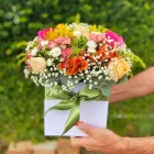 Imagem 2 da empresa FLORICULTURA MANIA DE FLOR Floriculturas em Curitiba PR