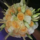 Imagem 3 da empresa FLORICULTURA QUATRO ESTAÇÕES Floriculturas em Taguatinga DF