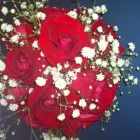 Imagem 7 da empresa FLORICULTURA QUATRO ESTAÇÕES Floriculturas em Taguatinga DF