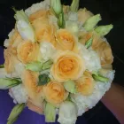 Imagem 2 da empresa FLORICULTURA QUATRO ESTAÇÕES Floriculturas em Taguatinga DF