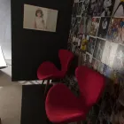 Imagem 5 da empresa FOTOGRAFAYARAANDRADEZ.COM Yara Andradez em Rio De Janeiro RJ