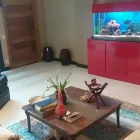 Imagem 2 da empresa IMÓVEIS JÚNIOR TEIXEIRA Imobiliárias em Brasília DF