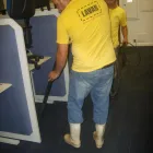 Imagem 7 da empresa LAVAR SERVICE Tapetes E Passadeiras - Limpeza em Guarulhos SP
