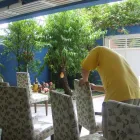 Imagem 1 da empresa LAVAR SERVICE Tapetes E Passadeiras - Limpeza em Guarulhos SP