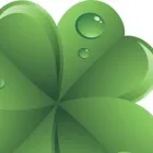 Imagem 5 da empresa LÍDER EMPREENDIMENTOS Imóveis - Aluguel em Rio De Janeiro RJ