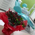 Imagem 1 da empresa LUCIANA HRUSCHKA Cirurgiões-Dentistas - Periodontia em São Carlos SP