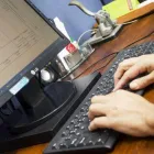 Imagem 7 da empresa M & L SERVIÇOS ESPECIALIZADOS Conta em Jaboatão Dos Guararapes PE
