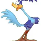 Imagem 1 da empresa PAPALÉGUAS DISTRIBUIDORA DE PANFLETOS LTDA. Graficas E Copias em Ribeirão Preto SP