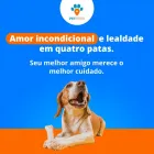 Imagem 3 da empresa PET HOME PET SHOP Pet Shop em Campo Grande MS