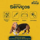 Imagem 1 da empresa PET SHOP AMOR ANIMAL | BANHO E TOSA Pet Shop em Maringá PR