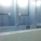 Imagem 1 da empresa PET SHOP ENTRE PATAS E BEIJOS Veterinario em Rio De Janeiro RJ