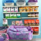 Imagem 3 da empresa PET SHOP ENTRE PATAS E BEIJOS Veterinario em Rio De Janeiro RJ