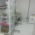 Imagem 4 da empresa PET SHOP ENTRE PATAS E BEIJOS Veterinario em Rio De Janeiro RJ