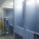 Imagem 6 da empresa PET SHOP ENTRE PATAS E BEIJOS Veterinario em Rio De Janeiro RJ