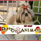 Imagem 2 da empresa PET SHOP PONTO DOS ANIMAIS Pet Shop em Maringá PR