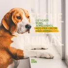 Imagem 3 da empresa PET SHOP VIDA ANIMAL - UNIDADE GUAIAPÓ Pet Shop em Maringá PR