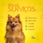 Imagem 5 da empresa PET SHOP VIDA ANIMAL - UNIDADE GUAIAPÓ Pet Shop em Maringá PR