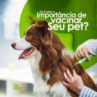 Imagem 6 da empresa PET SHOP VIDA ANIMAL - UNIDADE GUAIAPÓ Pet Shop em Maringá PR