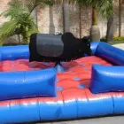 Imagem 4 da empresa PLANETA DOS INFLAVEIS LOC.DE BRINQUEDOS Festas - Animação em Belo Horizonte MG