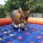 Imagem 1 da empresa PLANETA DOS INFLAVEIS LOC.DE BRINQUEDOS Festas - Animação em Belo Horizonte MG