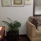 Imagem 2 da empresa PSICÓLOGOS EM CURITIBA Terapia Cognitiva Comportamental em Curitiba PR