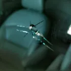 Imagem 2 da empresa SAVE AUTO GLASS RECUPERAÇÃO DE PARA-BRISAS Polimentos - Serviços em Brasília DF