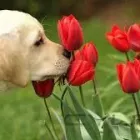 Imagem 1 da empresa SKINA MAGAZINE LTDA Perfumarias em Campinas SP