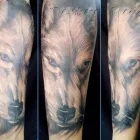 Imagem 8 da empresa TATTOO PAIN Tatuagens e Piercings em Campinas SP