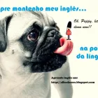 Imagem 1 da empresa TRADUÇÕES, SERVIÇOS DE TEXTO E AULAS DE INGLÊS Tradutores em Recife PE