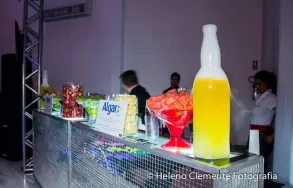 Imagem 8 da empresa GELO SECO GELOGAS Transporte em Campinas SP