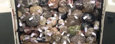 Imagem 4 da empresa BRUH LAVE LAVANDERIA Tapetes E Passadeiras - Limpeza em São Paulo SP