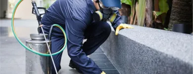 Imagem 2 da empresa DEDETIZADORA LUA NOVA Dedetização E Desratização em São Paulo SP