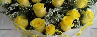 Imagem 6 da empresa FLORICULTURA PRISCILA FLORES Floriculturas em São Caetano Do Sul SP
