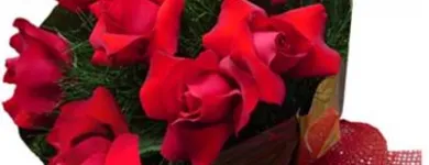 Imagem 8 da empresa FLORICULTURA PRISCILA FLORES Floriculturas em São Caetano Do Sul SP