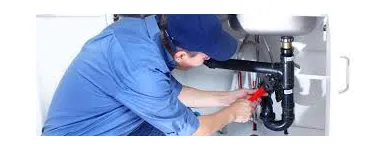 Imagem 2 da empresa FOX DEL SERVICE PORTARIA E LIMPEZA Zeladoria em São Paulo SP