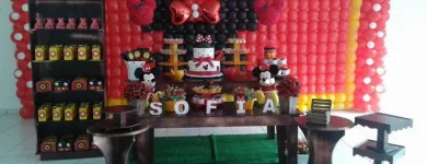 Imagem 1 da empresa HEEN FESTAS Festas e Eventos - Organização em Taguatinga DF